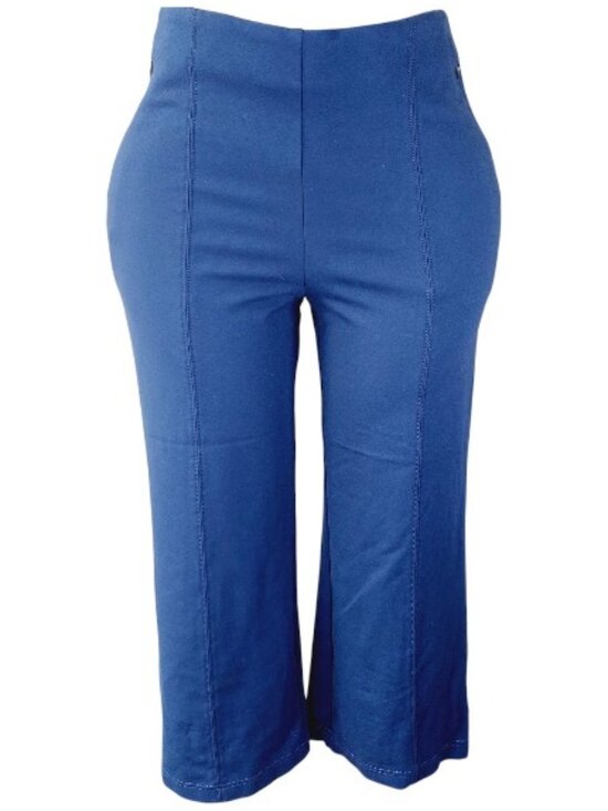 LOFT Pants - Loft Women's Indigo Blue Waistband Pleated Pull On Wide-Leg Pants Size LP